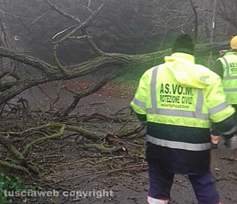 Maltempo e alberi caduti a Montefiascone