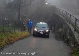 Maltempo e alberi caduti a Montefiascone