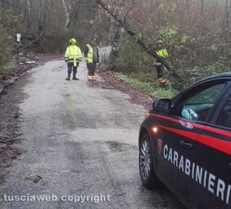 Maltempo e alberi caduti a Montefiascone