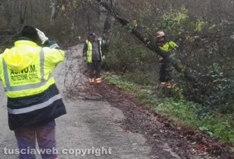 Maltempo e alberi caduti a Montefiascone