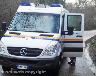 Maltempo e alberi caduti a Montefiascone