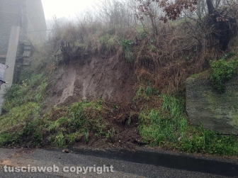 Maltempo e alberi caduti a Montefiascone