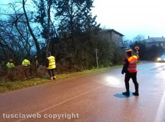 Maltempo e alberi caduti a Montefiascone