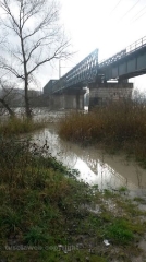 Il tevere esondato in località Sipicciano