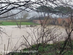il Tevere esonda a Borghetto