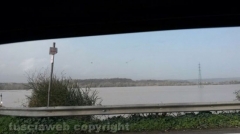 Il Tevere – La situazione a ponte Felice – Foto Ruggero Guazzoni