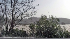 Il Tevere – La situazione a ponte Felice – Foto Ruggero Guazzoni