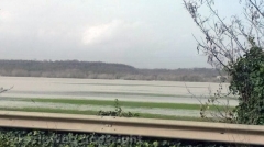 Il Tevere – La situazione a ponte Felice – Foto Ruggero Guazzoni