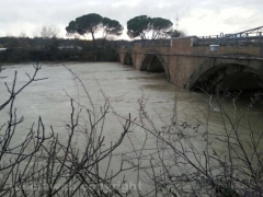 Tevere – Borghetto – La piena a Ponte Felice – Foto Stefano Pandimiglio