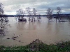 Tevere – Borghetto – La piena a Ponte Felice – Foto Stefano Pandimiglio
