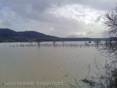 Tevere – Borghetto – Zona Frangellini