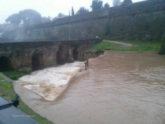 Nepi- Foto Arianna Stampacchia