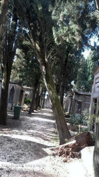 Viterbo - Il cimitero devastato