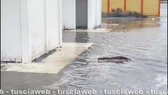 Maltempo, mareggiata a Tarquinia Lido