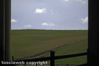 Maremma