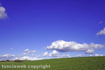 Maremma