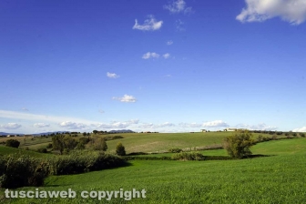 Maremma