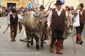 Marta celebra la festa della Madonna del Monte