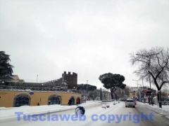 Viterbo - Francesco