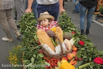 Marta festeggia la Madonna del Monte