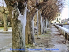 Marta - Danilo Piovani