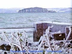 Marta - Danilo Piovani