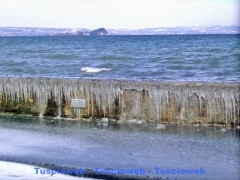 Marta - Danilo Piovani