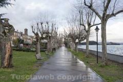 Il lungo lago