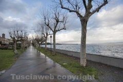 Il lungo lago