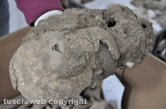 Strage a Ferento - Cranio colpito da freccia