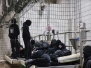 Mattatoio occupato ad Acquapendente, animalisti portati in questura