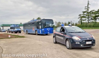 Mattatoio occupato ad Acquapendente, animalisti portati in questura