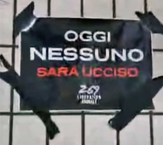 Acquapendente - Blitz al mattatoio