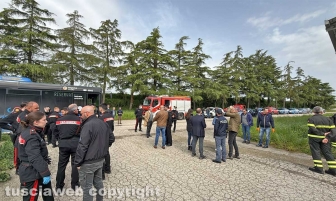 Acquapendente - Blitz al mattatoio