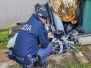 Mattatoio occupato dagli animalisti ad Acquapendente