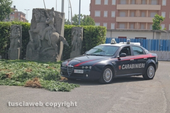 Maxipiantagione di marijuana a Vitorchiano
