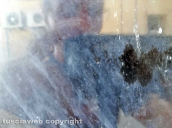 Terracina - La piccola finestra all'ingresso della sede legale della Mediacom