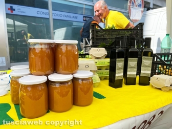 Viterbo - "Coltivare la legalità", progetto della questura di Viterbo in collaborazione con il Ceis San Crispino