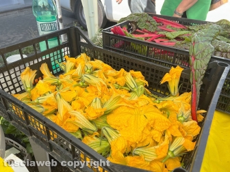 Viterbo - "Coltivare la legalità", progetto della questura di Viterbo in collaborazione con il Ceis San Crispino