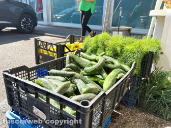 Viterbo - "Coltivare la legalità", progetto della questura di Viterbo in collaborazione con il Ceis San Crispino