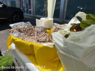 Viterbo - "Coltivare la legalità", progetto della questura di Viterbo in collaborazione con il Ceis San Crispino