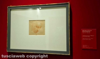 Michelangelo e la cappella Sistina - I disegni di casa Buonarroti in dialogo con Sebastiano del Piombo