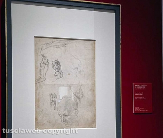 Michelangelo e la cappella Sistina - I disegni di casa Buonarroti in dialogo con Sebastiano del Piombo