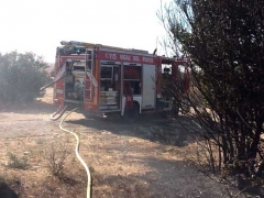 Vigili del fuoco - Migliaia di pulcini salvati dalle fiamme