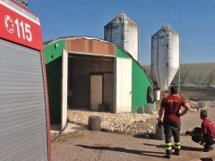 Vigili del fuoco - Migliaia di pulcini salvati dalle fiamme