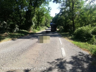 Soriano - Incidente sulla provinciale Molinella, muore centauro