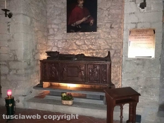 Moscerini nella cripta di santa Lucia