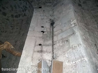 Moscerini nella cripta di santa Lucia