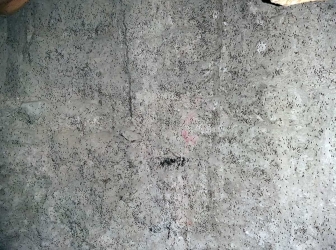 Moscerini nella cripta di santa Lucia