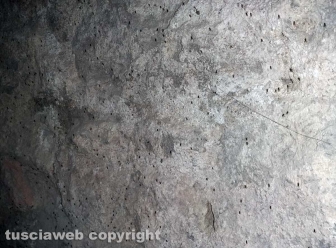 Moscerini nella cripta di santa Lucia